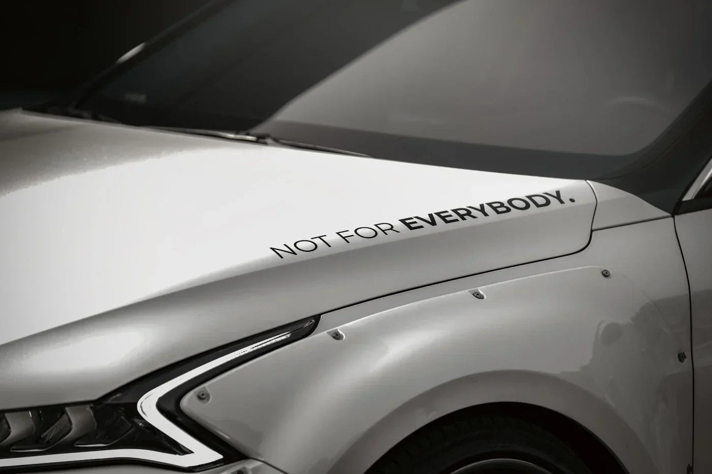 NOT FOR EVERYBODY DECAL - Image 3