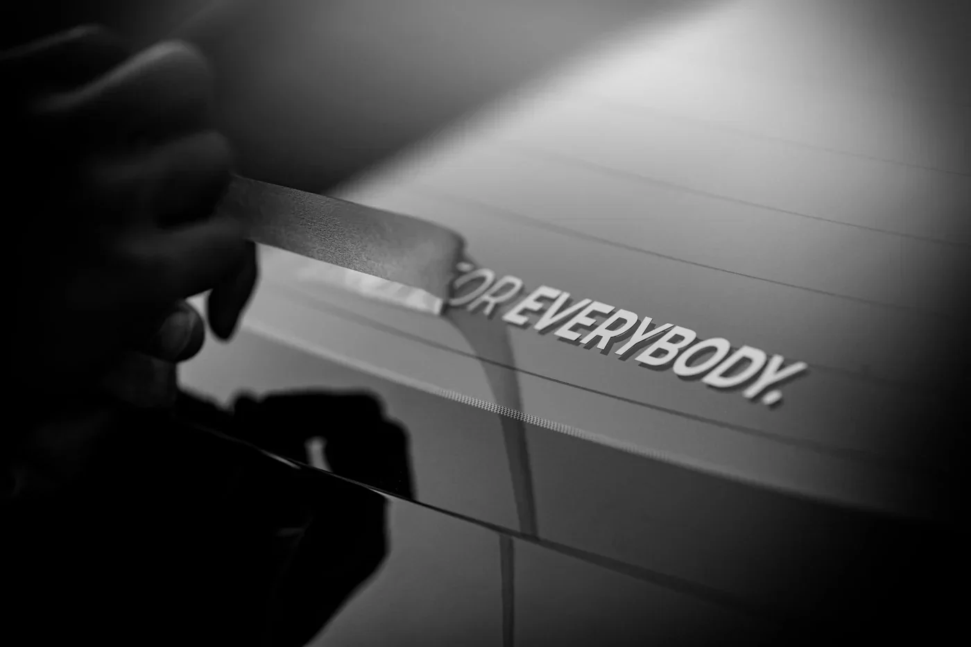 NOT FOR EVERYBODY DECAL - Image 4